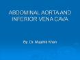 ABDOMINAL AORTA AND INFERIOR VENA CAVA PowerPoint PPT Presentation