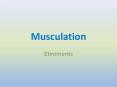 Musculation PowerPoint PPT Presentation