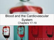 Blood and the Cardiovascular System