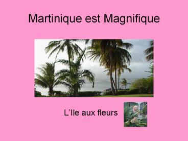 Martinique est Magnifique