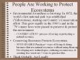 People Are Working to Protect Ecosystems PowerPoint PPT Presentation