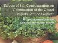 Effects of Salt Concentration on Germination of the Grand Rapids Lettuce Cultivar PowerPoint PPT Presentation