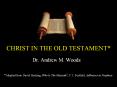 CHRIST IN THE OLD TESTAMENT* PowerPoint PPT Presentation