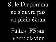 Diapositive 1