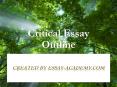 Critical Essay Outline PowerPoint PPT Presentation
