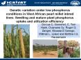 Institute of Plant Breeding PowerPoint PPT Presentation