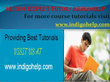 SEI 301 expert tutor  indigohelp