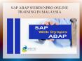 sap abap webdynpro online training in malaysia PowerPoint PPT Presentation