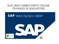 sap abap webdynpro online training in singapore PowerPoint PPT Presentation