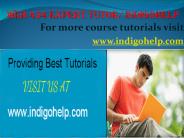WEB 434 expert tutor  indigohelp