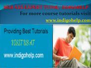 WEB 435 expert tutor  indigohelp