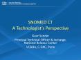 SNOMED CT-A technologist's Perspective PowerPoint PPT Presentation