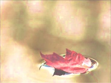 presentation player overlay