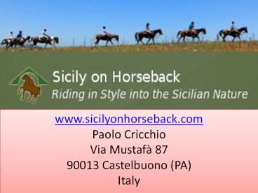 Enjoy Horse riding holiday in Sicily