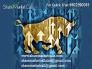 Share Market Calls