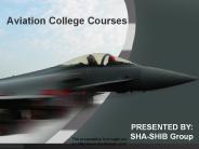 Aviation college courses in india