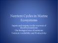 Nutrient Cycles in Marine Ecosystems PowerPoint PPT Presentation