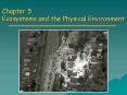 Chapter 5 Ecosystems and the Physical Environment PowerPoint PPT Presentation