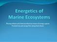 Energetics of Marine Ecosystems PowerPoint PPT Presentation
