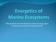 Energetics of Marine Ecosystems