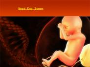 Need Egg Donor