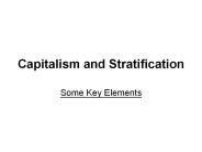 Capitalism and Stratification