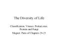 The Diversity of Life PowerPoint PPT Presentation