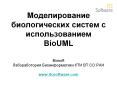 ????????????? ????????????? ?????? ? ?????????????? BioUML Biosoft ????????????? ?????????????? ??? ?? ?? ??? www.itcsoftware.com PowerPoint PPT Presentation