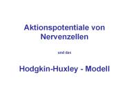 E-services: operating strategy