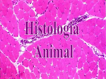 Histologia