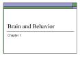 Brain and Behavior PowerPoint PPT Presentation