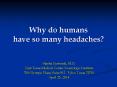 Why do humans have so many headaches? PowerPoint PPT Presentation