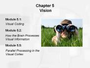 Chapter 5 Vision