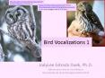 Bird Vocalizations 1 PowerPoint PPT Presentation