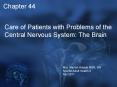 Care of Patients with Problems of the Central Nervous System: The Brain PowerPoint PPT Presentation