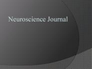 Neuroscience Journal