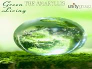 Unity The Amaryllis Delhi