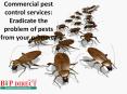 Commercial pest control services: Eradicate the problem of pests from your property PowerPoint PPT Presentation