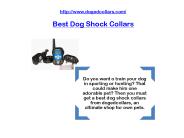 best dog shock collars