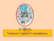 Venture Capital Consultancy