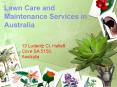 Lawn Care and Maintenance Services in Australia PowerPoint PPT Presentation