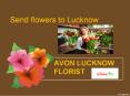 Send flowers to Lucknow PowerPoint PPT Presentation