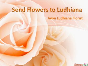 Send Flowers to Ludhiana