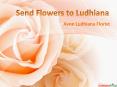 Send Flowers to Ludhiana PowerPoint PPT Presentation