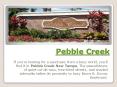 Pebble Creek Tampa