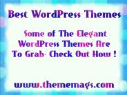 One stop Destination For WordPress Themes