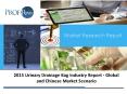 Urinary Drainage Bag Market 2015 PowerPoint PPT Presentation