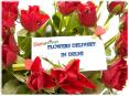 Flowers Delivery in Delhi PowerPoint PPT Presentation