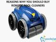REASONS WHY YOU SHOULD BUY ROBOTIC POOL CLEANERS
