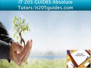 IT 205 GUIDES Absolute Tutors/it205guides.com
